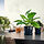 FEJKA - tanaman tiruan dalam pot, dalam/luar ruang calathea, 12 cm | IKEA Indonesia - PE976208_S1