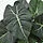 FEJKA artificial potted plant