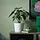 FEJKA artificial potted plant