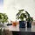 FEJKA artificial potted plant