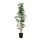 FEJKA - artificial potted plant, in/outdoor bamboo, 23 cm | IKEA Indonesia - PE913017_S1