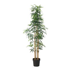 FEJKA - Tanaman tiruan dalam pot, dalam/luar ruang bambu, 23 cm