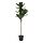 FEJKA - artificial potted plant, in/outdoor fiddle-leaf fig, 19 cm | IKEA Indonesia - PE913018_S1