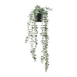 FEJKA - Tanaman tiruan dalam pot, dalam/luar ruang digantung/eucalyptus, 9 cm