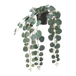 FEJKA - Tanaman tiruan dalam pot, dalam/luar ruang digantung/String of hearts, 9 cm