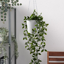 CASHEWÄPPLE - Hanging planter, in/outdoor white, 12 cm