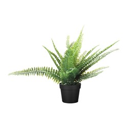 FEJKA - Tanaman tiruan dalam pot, dalam/luar ruang paku-pakis, 9 cm