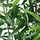 FEJKA artificial potted plant