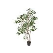 FEJKA - Artificial potted plant, in/outdoor/weeping fig, 23 cm