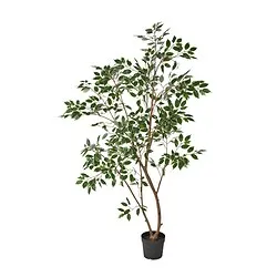 FEJKA - Tanaman tiruan dalam pot, dalam/luar ruang/beringin, 23 cm
