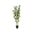 FEJKA - Artificial potted plant, in/outdoor/bamboo, 21 cm