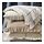 ÅKERNEJLIKA - cushion cover, off-white embroidery, 40x58 cm | IKEA Indonesia - PE914670_S1