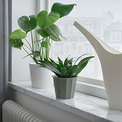 BUSKVERK - Pot tanaman, dalam/luar ruang abu-abu, 9 cm