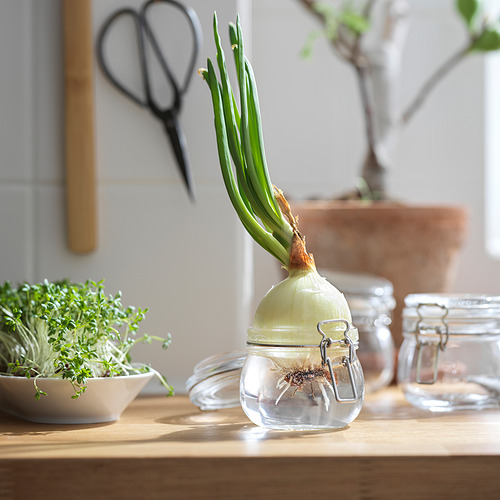 KORKEN jar with lid