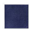 MOLNVAKT - Washcloth, blue, 30x30 cm