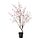 FEJKA - artificial potted plant, in/outdoor cherry-blossoms, 19 cm | IKEA Indonesia - PE944385_S1