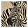 PJÄTTERYD - picture, rustic zebra, 56x56 cm | IKEA Indonesia - PE944869_S1