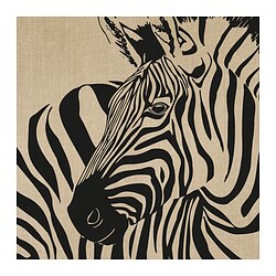 PJÄTTERYD - Picture, rustic zebra, 56x56 cm