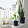 KLOTLÖNN - plant pot with saucer, in/outdoor/black-blue, 19 cm | IKEA Indonesia - PE944946_S1