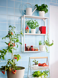 FÖRENLIG - Plant pot, in/outdoor white, 12 cm