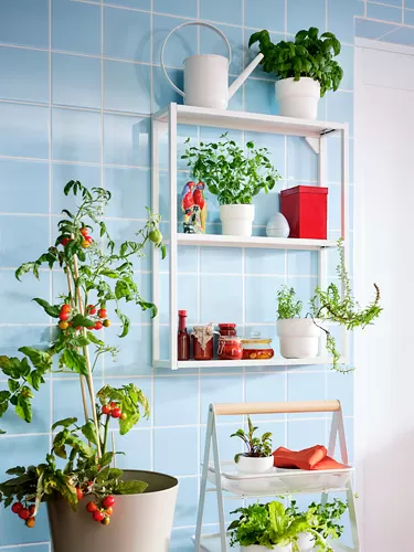 FÖRENLIG pot tanaman