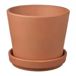BRUNBÄR
