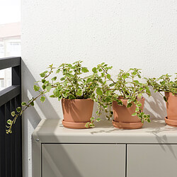 BRUNBÄR - Pot tanaman dengan alas, luar ruang terracotta, 12 cm