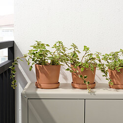 BRUNBÄR - Plant pot with saucer, outdoor terracotta, 15 cm