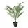 FEJKA - tanaman tiruan dalam pot, dalam/luar ruang Areca palm, 12 cm | IKEA Indonesia - PE840164_S1