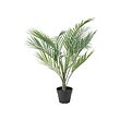 FEJKA - Tanaman tiruan dalam pot, dalam/luar ruang Areca palm, 12 cm
