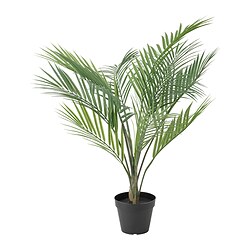 FEJKA - Tanaman tiruan dalam pot, dalam/luar ruang Areca palm, 12 cm