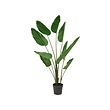 FEJKA - Tanaman tiruan dalam pot, dalam/luar ruang STRELITZIA NIKOLAI, 23 cm