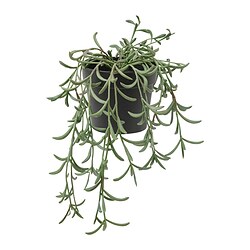 FEJKA - Tanaman tiruan dalam pot, dalam/luar ruang/String of bananas digantung, 9 cm