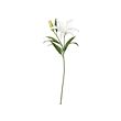 SMYCKA - Bunga tiruan, Lily/putih, 85 cm