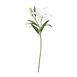 SMYCKA - Bunga tiruan, Lily/putih, 85 cm