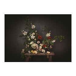 PJÄTTERYD - Picture, flowers-against a black wall, 70x50 cm