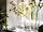 BERÄKNA vase