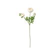 SMYCKA - Artificial flower, Ranunculus/white, 52 cm