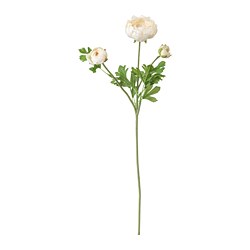 SMYCKA - Bunga tiruan, Ranunculus/putih, 52 cm