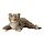 MORRHÅR - soft toy, leopard/beige, 80 cm | IKEA Indonesia - PE299755_S1