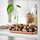 FRÖFINK - potpourri beraroma, Vanila krem, 60 gr | IKEA Indonesia - PE986170_S1