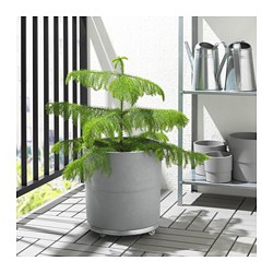NYPON - Plant pot, in/outdoor grey, 32 cm