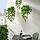 FEJKA artificial potted plant