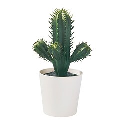FEJKA - Tanaman tiruan dalam pot, dalam/luar ruang Kaktus, 6 cm