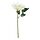 SMYCKA - artificial flower, in/outdoor/Dahlia white, 30 cm | IKEA Indonesia - PE948964_S1