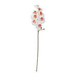 SMYCKA - Artificial flower, in/outdoor/Orchid white, 60 cm