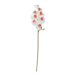 SMYCKA - Bunga tiruan, dalam/luar ruang/anggrek putih, 60 cm