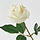 SMYCKA - artificial flower, in/outdoor/Rose white, 40 cm | IKEA Indonesia - PE948979_S1