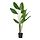 FEJKA - artificial potted plant, in/outdoor Bird of paradise, 23 cm | IKEA Indonesia - PE948983_S1