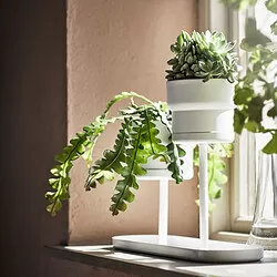CHILISTRÅN - Stand tanaman, putih, 24 cm